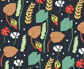 Rosehip Dark Background