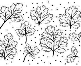 Free Cilantro Icons Vector