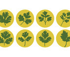 Free Cilantro Icons Vector