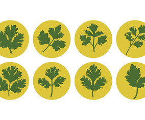 Free Cilantro Icons Vector