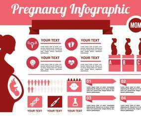 Free Pregnancy Infographic Vector