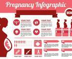 Free Pregnancy Infographic Vector