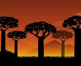 Free Silhouette Baobab Background Vector