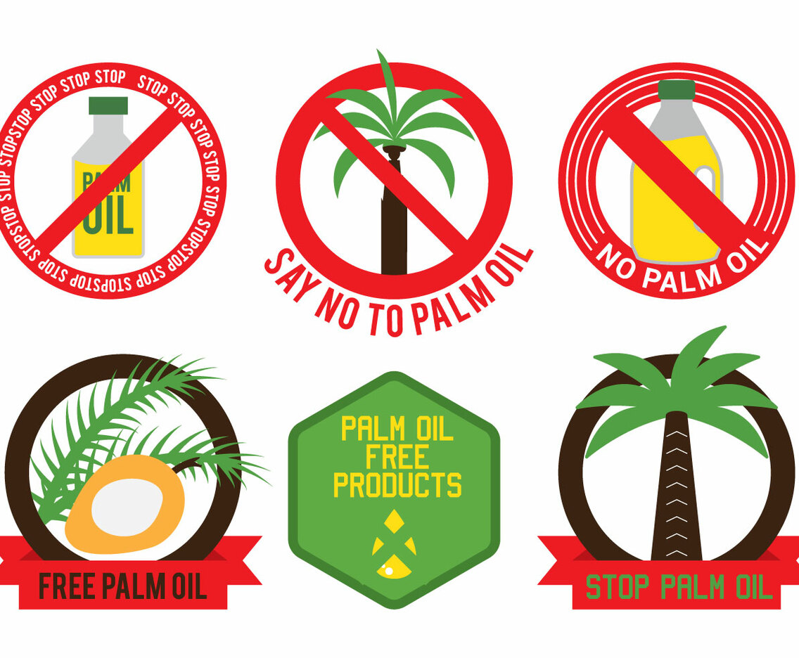 Palm Oil Vector