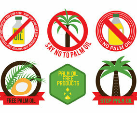 Palm Oil Vector