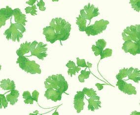 Cilantro Vector Set