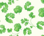 Cilantro Vector Set