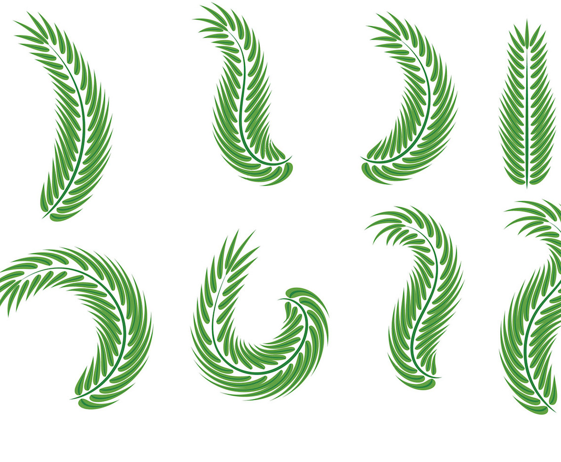 Palm Sunday Leaf Vectors