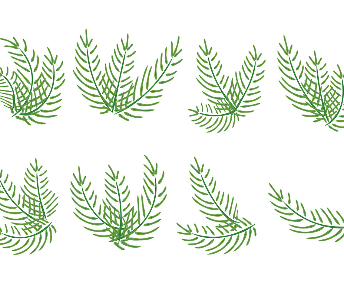 Palm Sunday Vector Palms