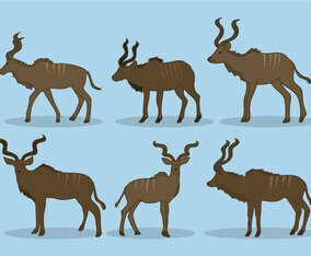 Kudu Vector