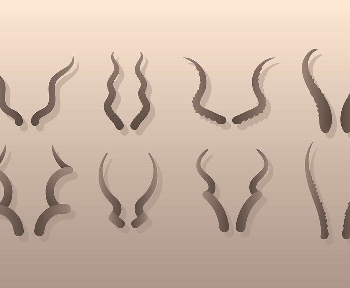 Free Kudu Icons Vector