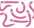 Fun Pink Earthworm Vectors