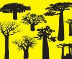 Silhouette Baobab Trees