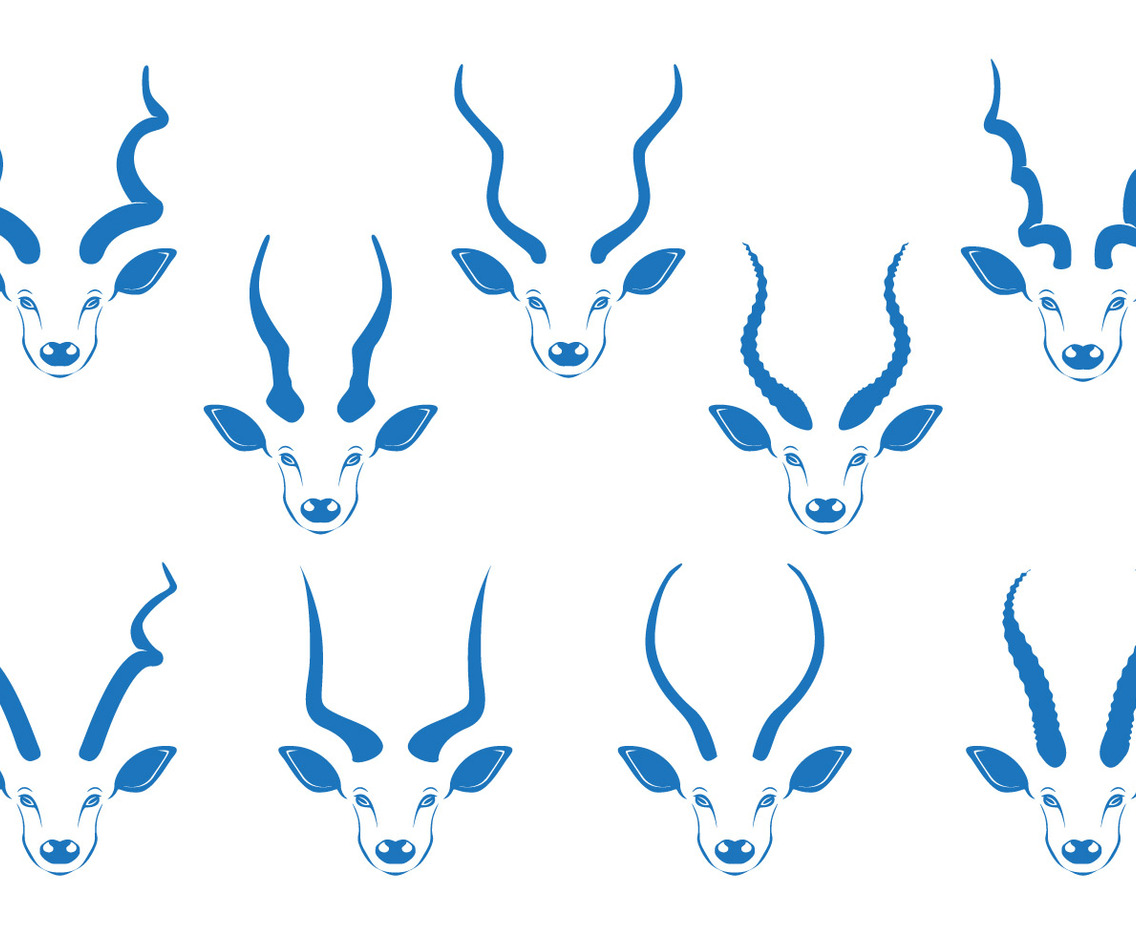 Kudu Horn Vector Stock
