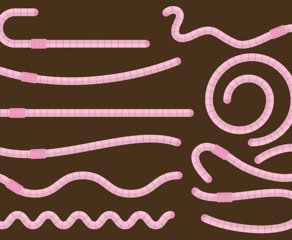 Cartoon Earthworms
