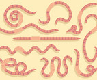 Free Earthworm Icons Vector