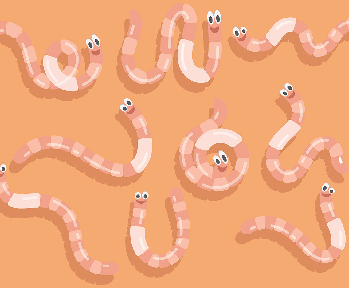 Free Earthworm Icons Vector