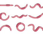 Free Earthworm Animal Vector
