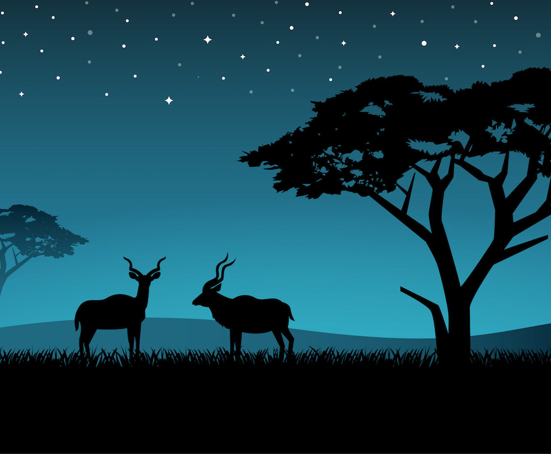 Free Couple Kudu Vector