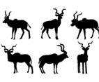 Kudu Vector