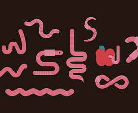 Earthworm Illustration Set