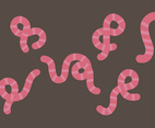Earthworm Illustration Set