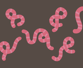 Earthworm Illustration Set
