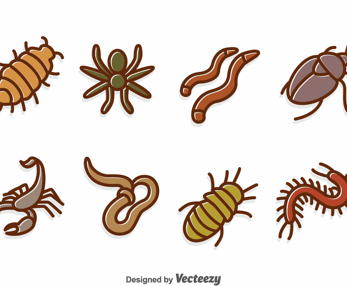 Hand Drawn Insect Vector Set
