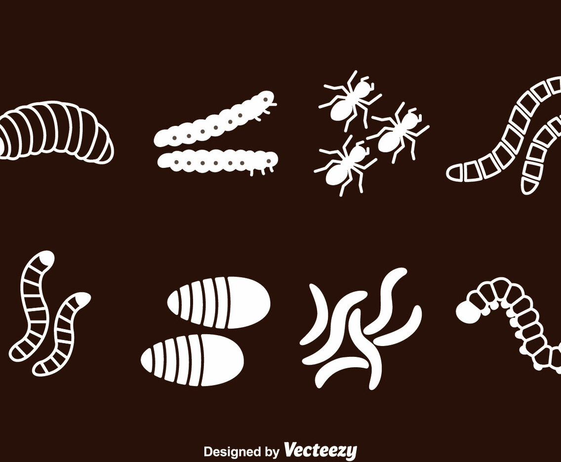Caterpillar Worm and Ant Vector Set