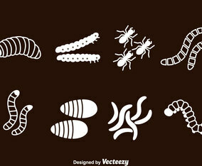 Caterpillar Worm and Ant Vector Set
