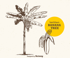 Free Vector Hand Drawn Banana Tree