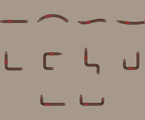 Earthworm Icon Set
