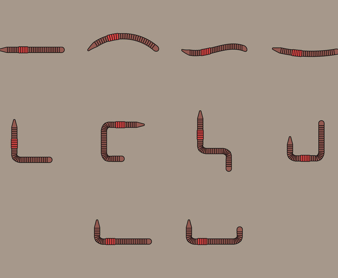 Earthworm Icon Set