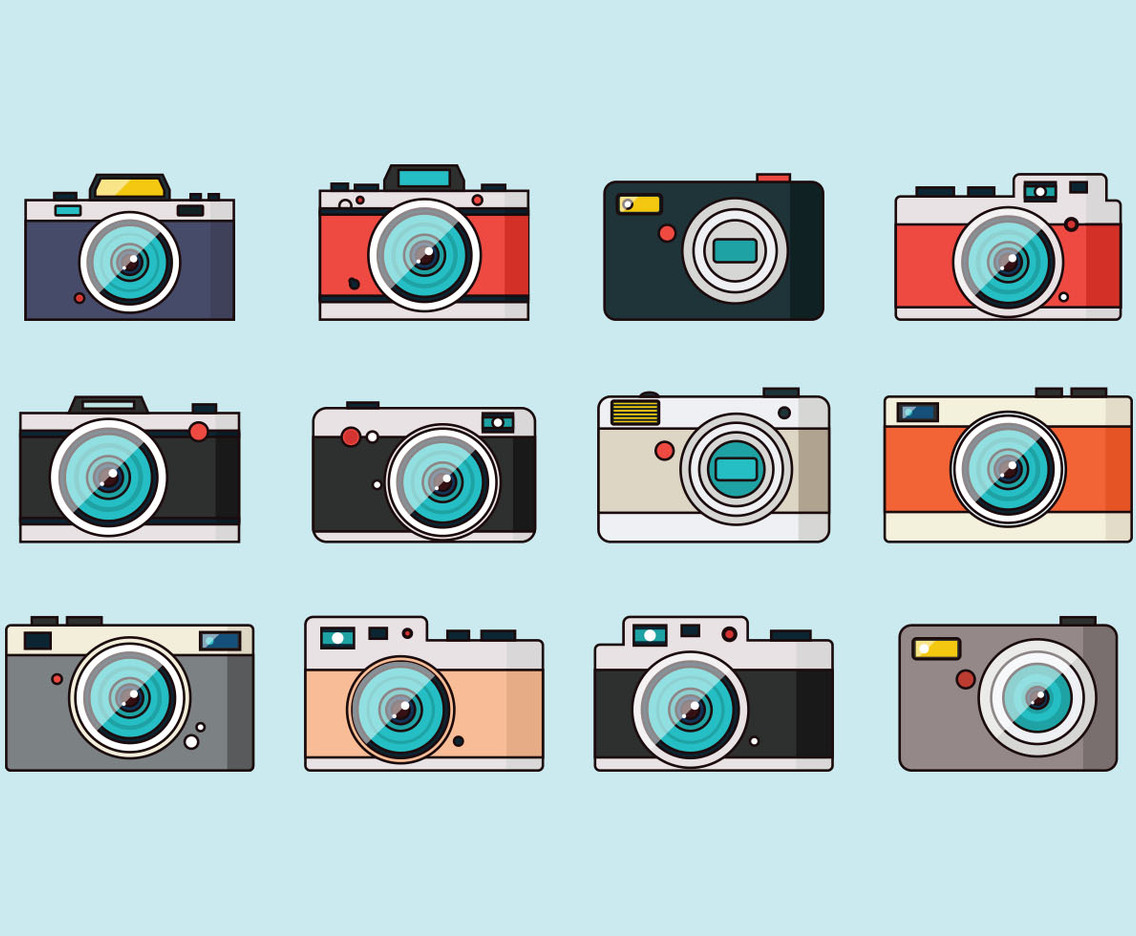 Vintage Cameras Collection