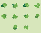 Cilantro Icon Set