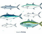Mackerel Vector