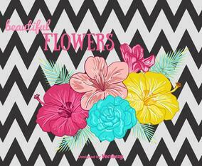 Beautiful Flowers Background