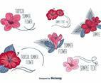 Floral Labels Vectors