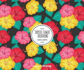 Tropical Flowers Background