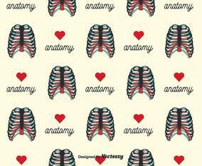 Rib Cage Background Vector