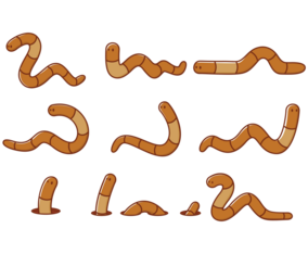 Earthworm Cartoons