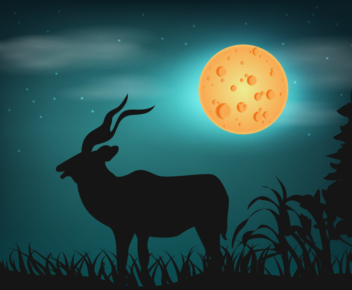Kudu Vector