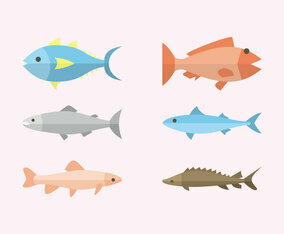 Flat Fish Illustration Vector