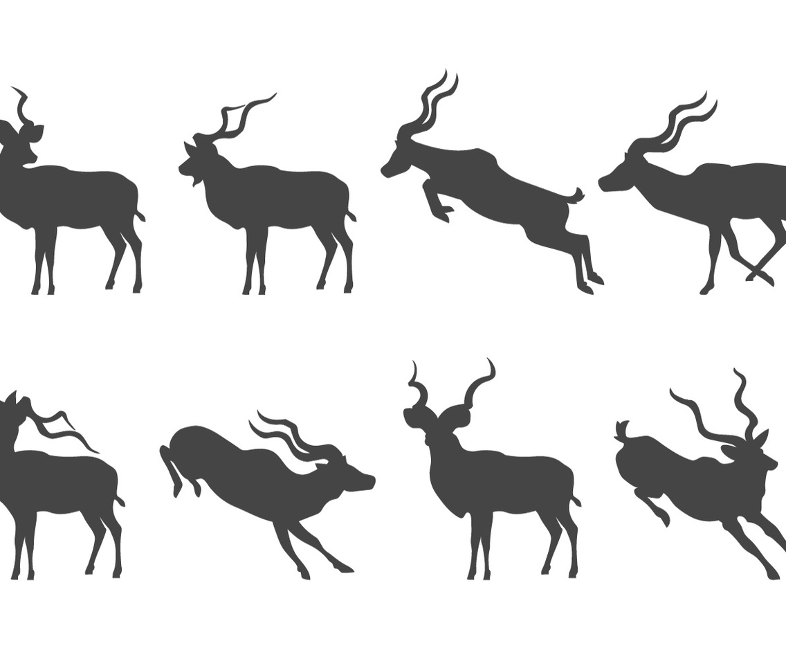 Kudu Silhouette
