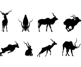 KUDU SILHOUETTE VECTOR