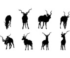 Kudu Silhouette Vector