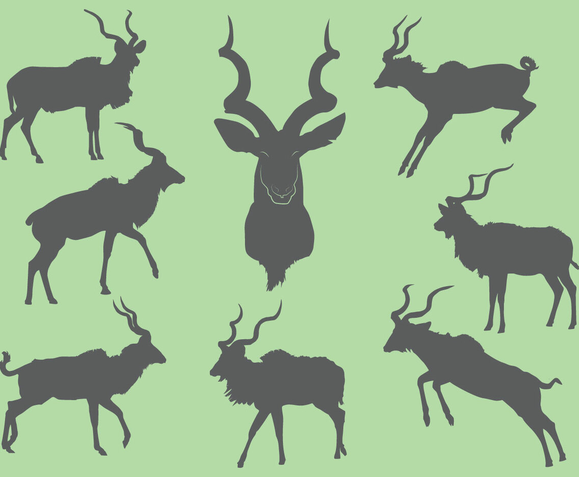 Free Kudu Silhouette Icons
