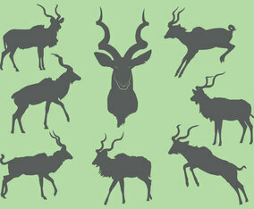 Free Kudu Silhouette Icons