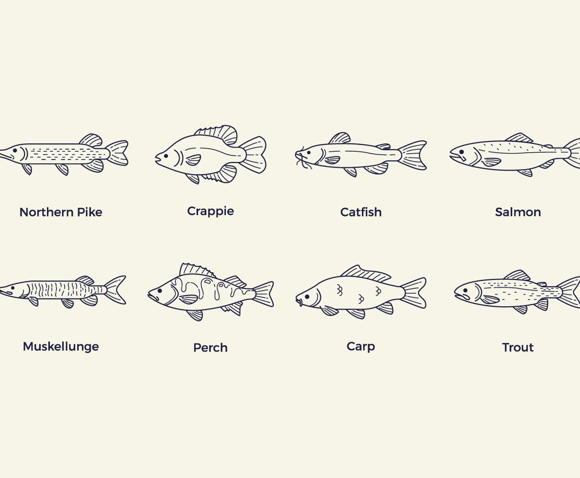 Free Fish Vector