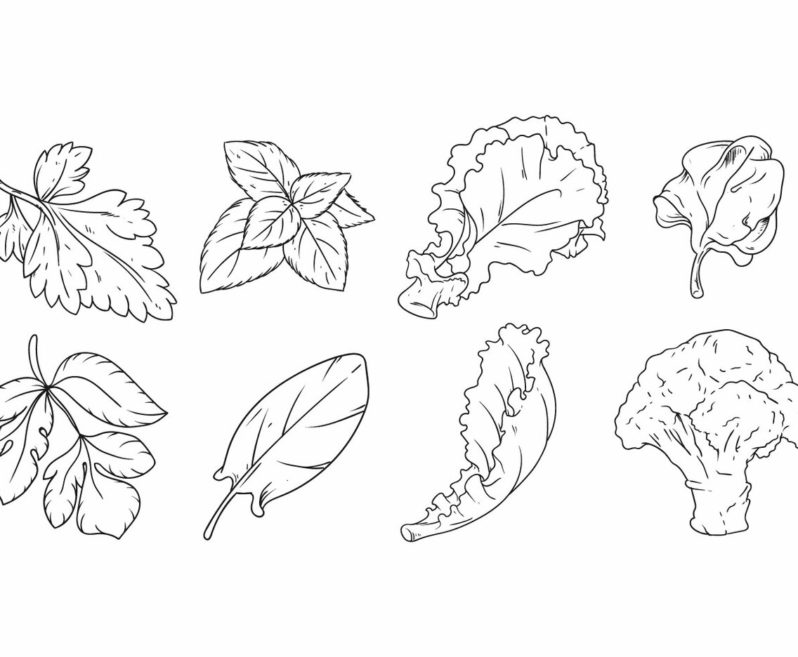 Free Hand Drawing Vegetables Vector